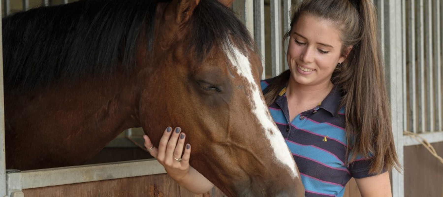 woman caring for a horse