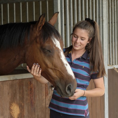 woman caring for a horse