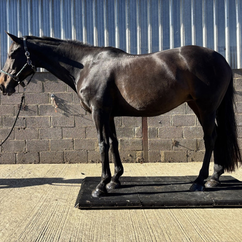 Picture2 Expanded Copy3