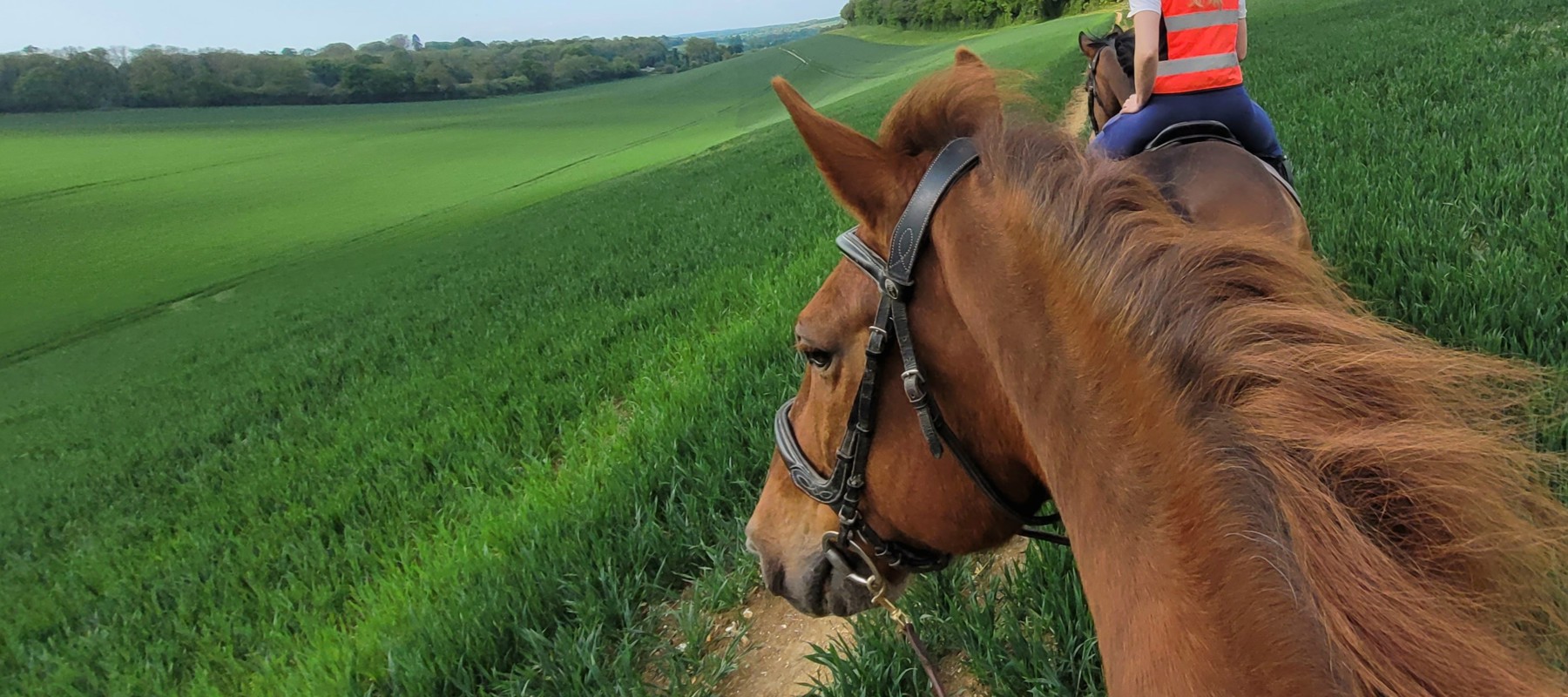 Kizzie Mcfarlane (20250503 154114) Consent To May 2027