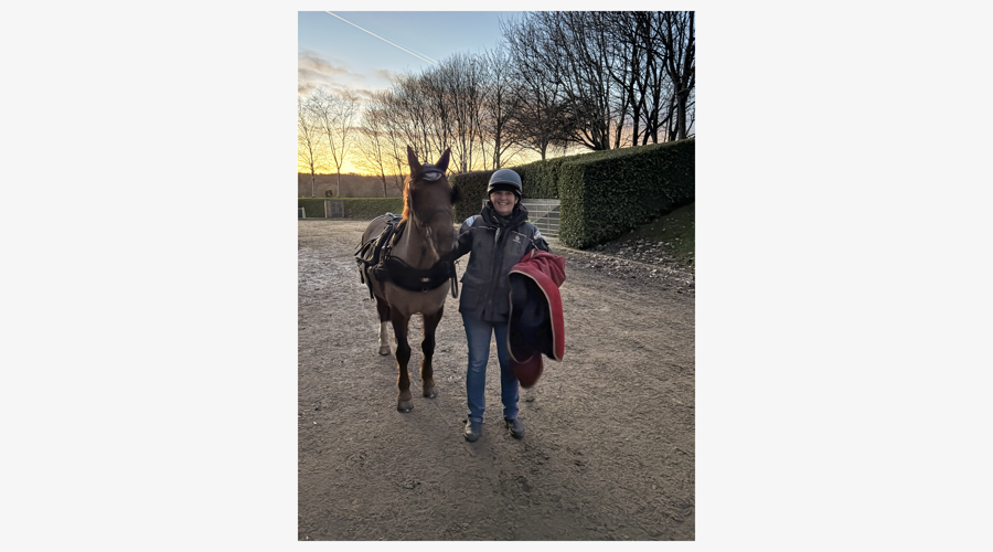 Img 3639 Border Grey