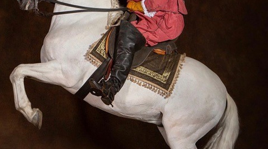 Peter Maddison-Greenwell on a rearing horse