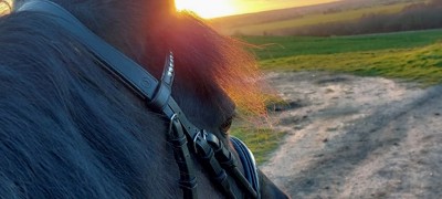 Image Credit The British Horse Society. Through The Ears Eviemilly 202204