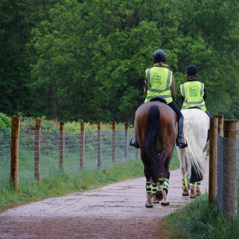Bottom Image Image Credit The British Horse Society. DSC 4453