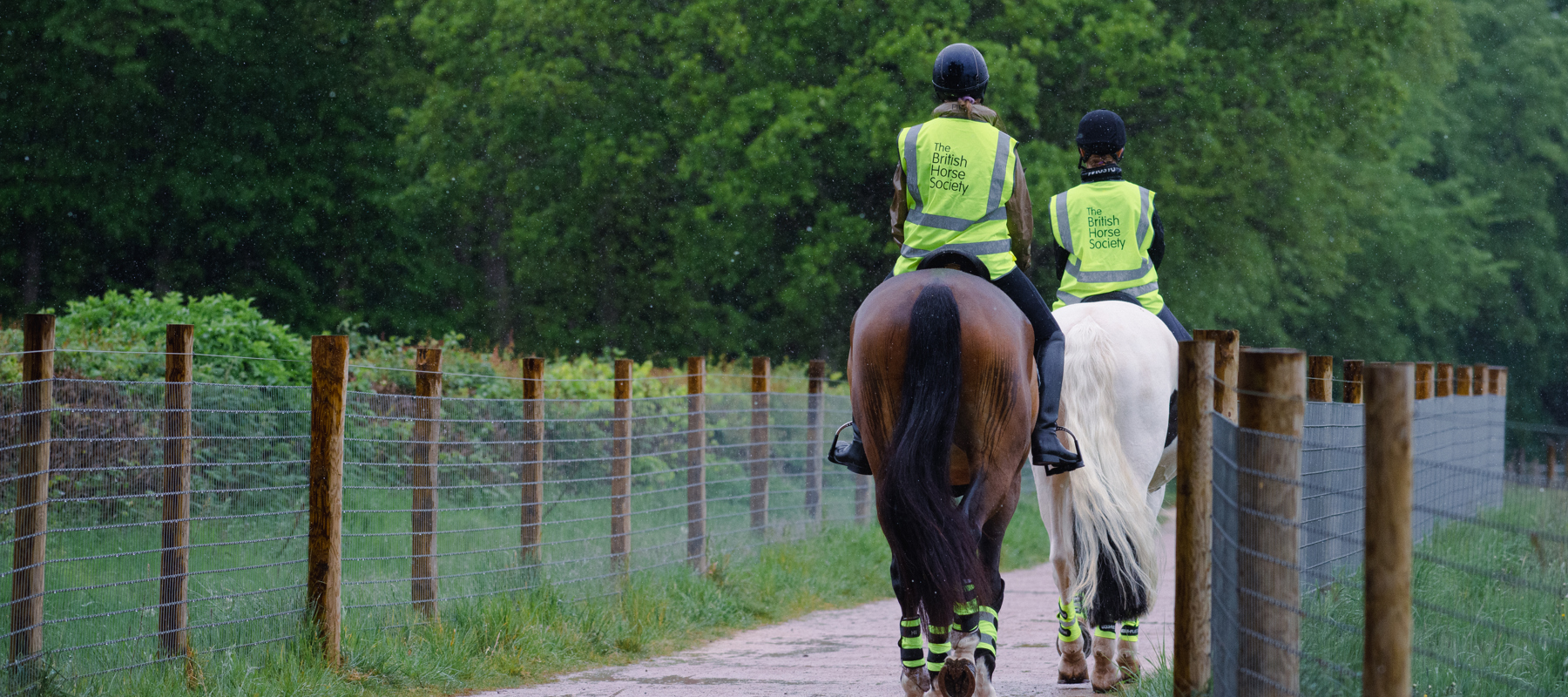Bottom Image Image Credit The British Horse Society. DSC 4453