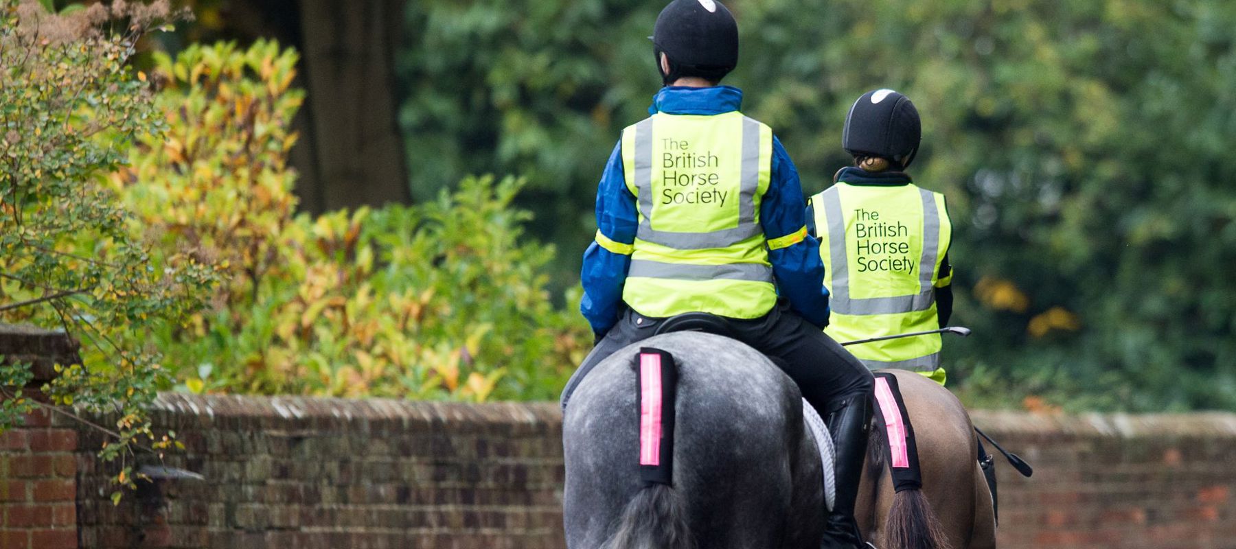 Responsible riding | The British Horse Society