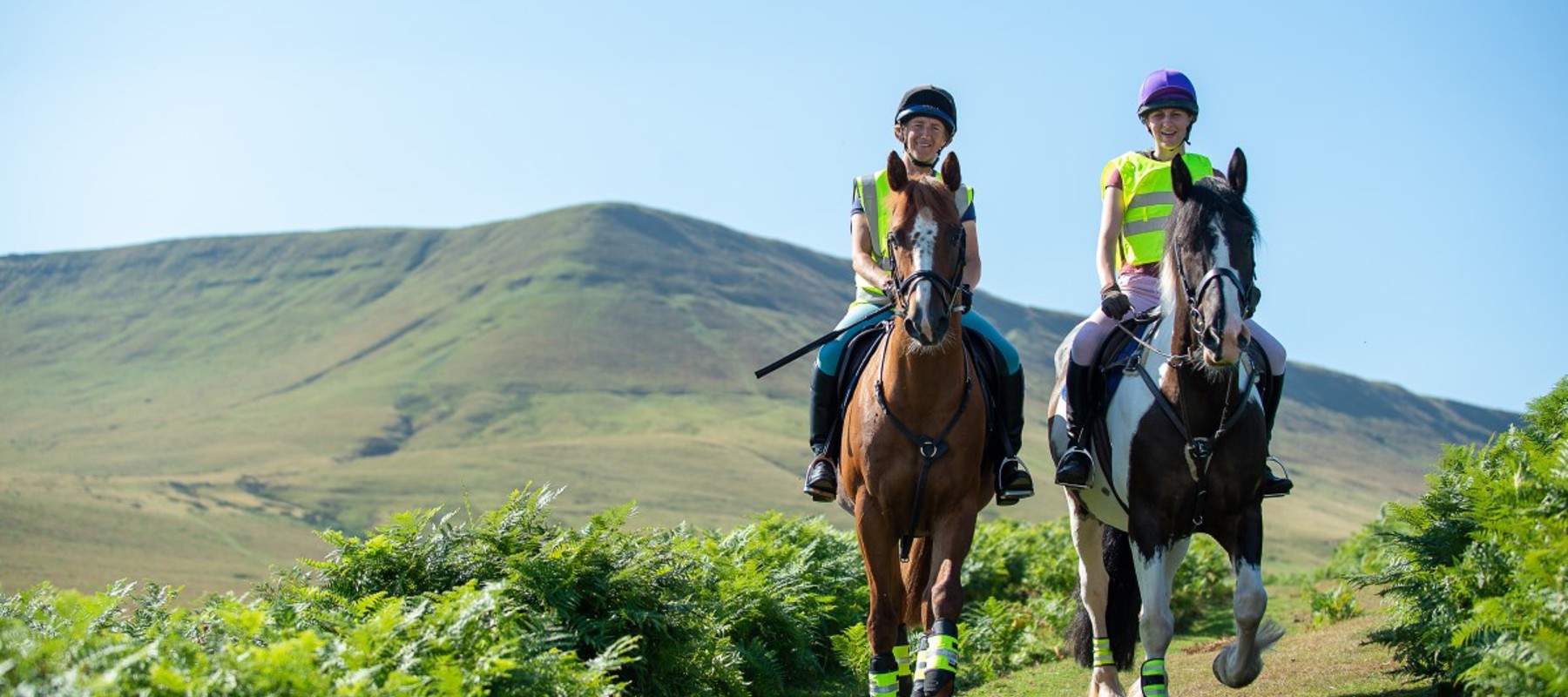 Two horses and riders on narrow path with upland hillside behind in gentle sunshine