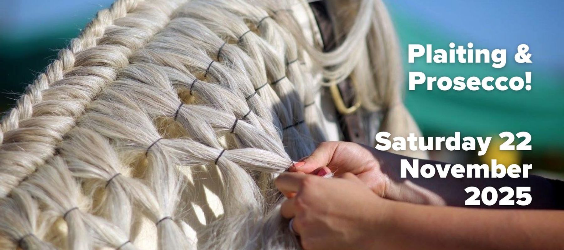 Plaiting & Prosecco!
