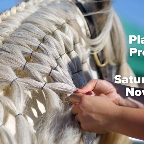 Plaiting & Prosecco!