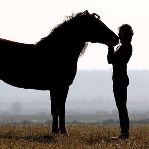 Horse And Rider In Countryside Shutterstock 11585581 (Appeal) Copy