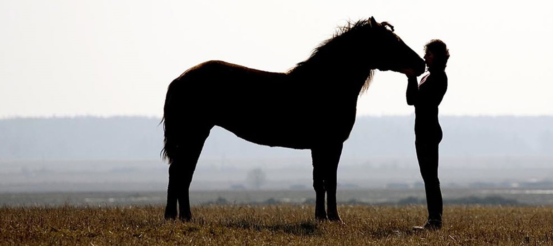 Horse And Rider In Countryside Shutterstock 11585581 (Appeal) Copy