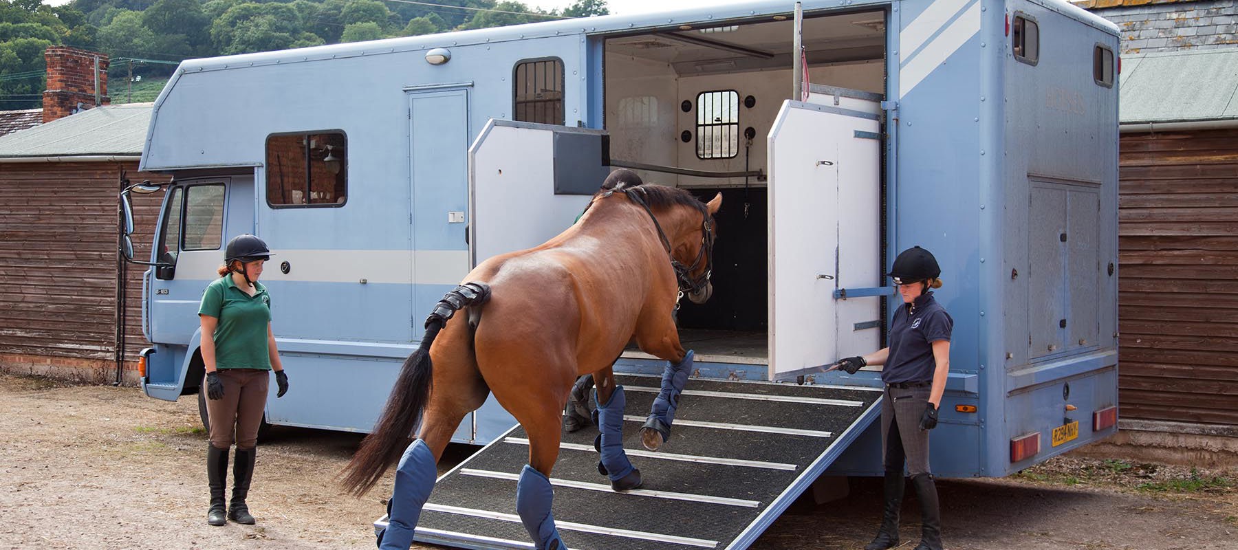 Transporting Your Horse The British Horse Society transporting-your-horse-the-british-horse-society