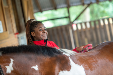 Brushing a horse