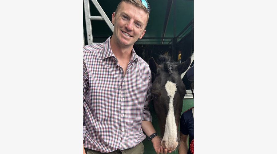 37861335 89D7 4A81 Ada6 169199A8c263 Border Grey