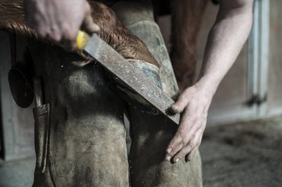 Rasping Hoof