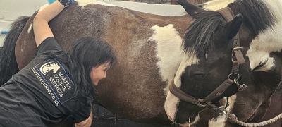 20250804 135226 1 (1)