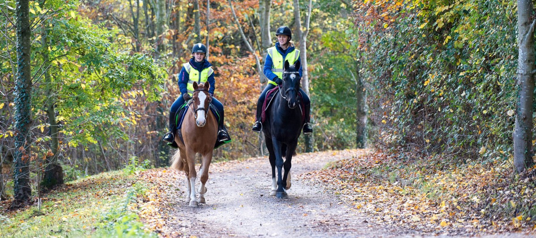 Riding Out In The Woods