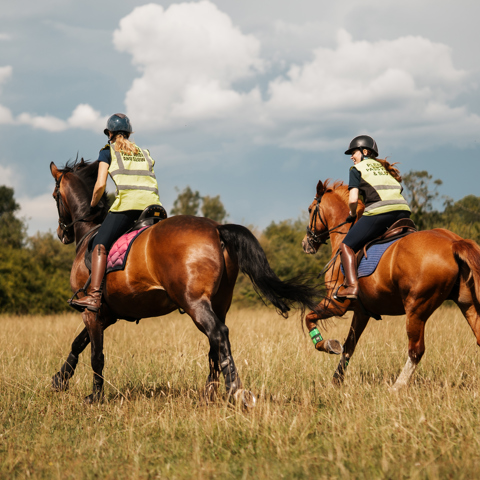 Bhs Swallowfield Pair Cantering From Behind