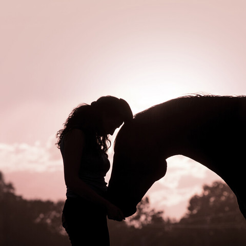 Horse Affection (3)