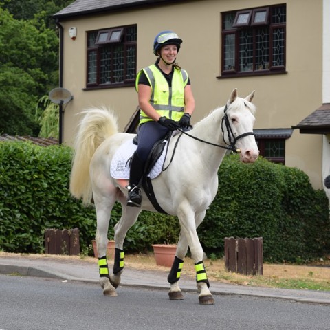 rider on a white horse wearing hi vis