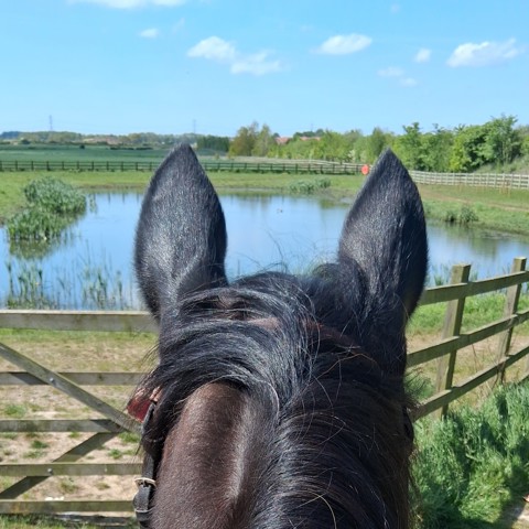 20250509 120250 (Cropped) - Consent to 1 June 2029