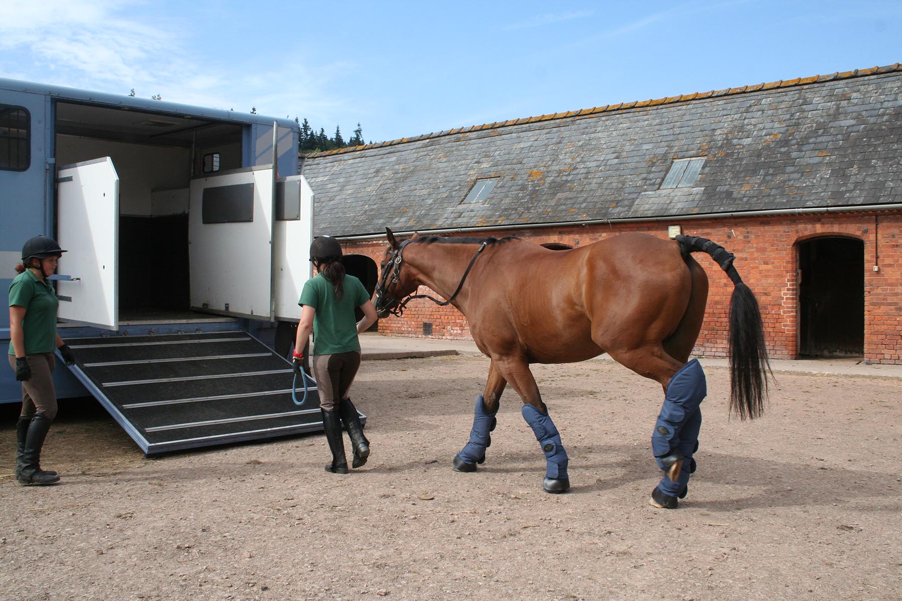 Loading and unloading The British Horse Society