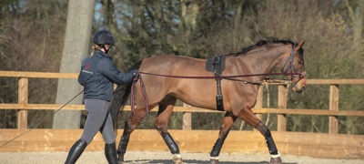 Image Lunge