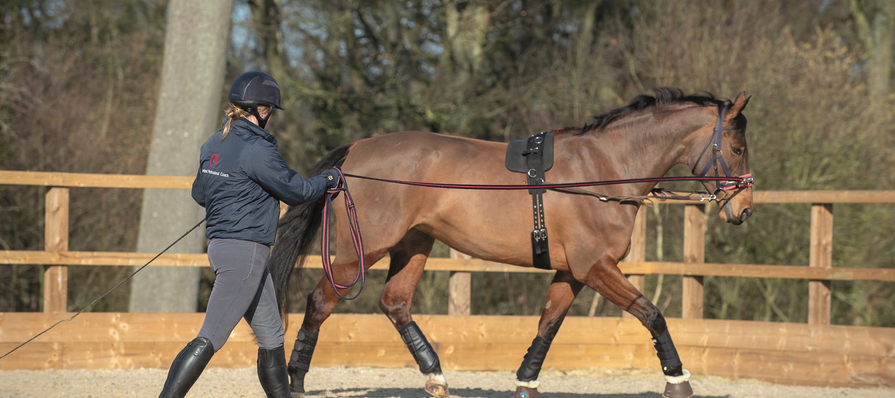 Image Lunge
