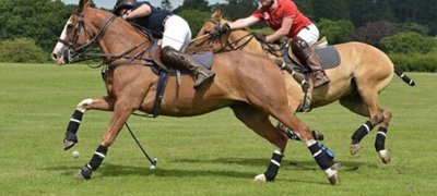 Alt Ratio 16X9 1X 21 05 May 28 Have A Go At Polo 1