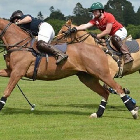 Alt Ratio 16X9 1X 21 05 May 28 Have A Go At Polo 1
