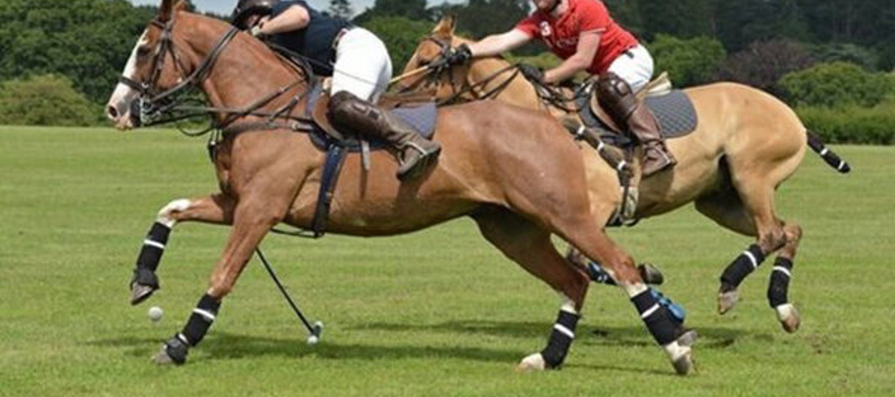 Alt Ratio 16X9 1X 21 05 May 28 Have A Go At Polo 1