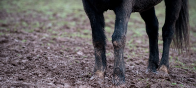 Image Credit: Jon Stroud