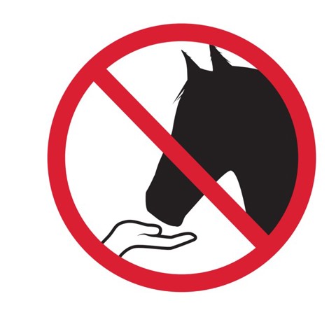 Be Horse Aware Icon