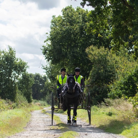 carriage BHS hi vis