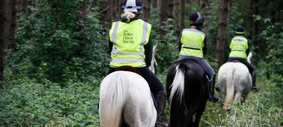 Access Forest Ride Janet Pamment