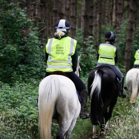 Access Forest Ride Janet Pamment