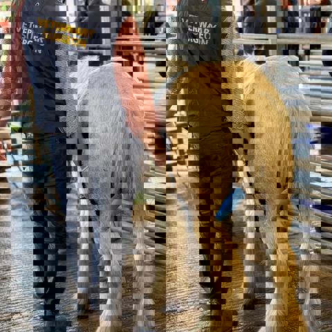 6Ded7da1 324C 4C26 A68f 5Cd4793c9386