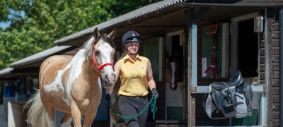 Introduction To Horse Care