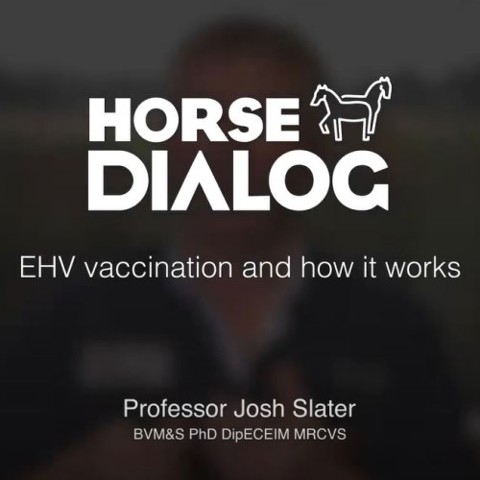 EHV Vaccination And How It Works