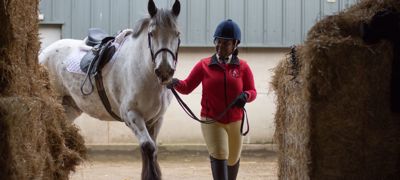rider with horse near hay