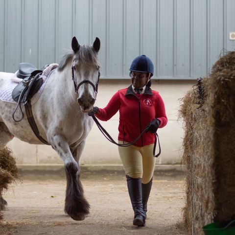 rider with horse near hay