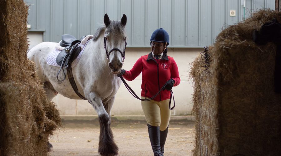 rider with horse near hay