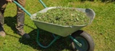 Grass Cuttings
