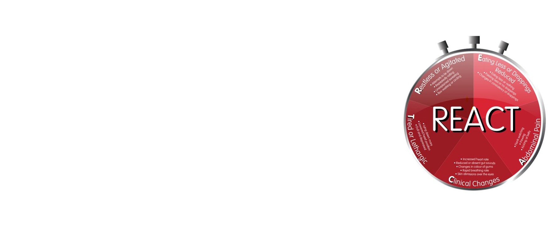 Colicreact Clock (1) Copy (1)