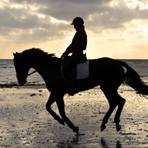 Legacy Rider On The Beach Shutterstock 93699190