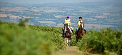 Two horses and riders on narrow road with upland hillside behind in gentle sunshine