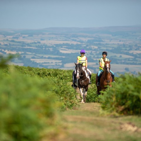 Two horses and riders on narrow road with upland hillside behind in gentle sunshine