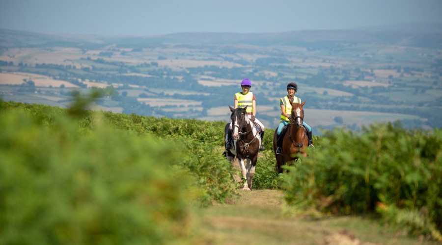 Two horses and riders on narrow road with upland hillside behind in gentle sunshine