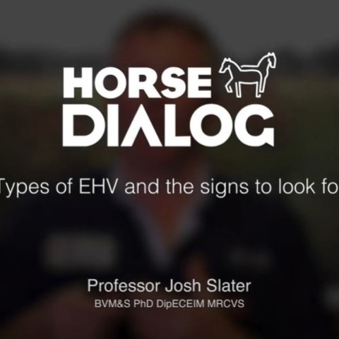 Types Of EHV And The Signs To Look For