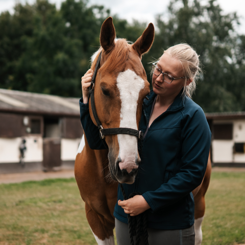 BHS Swallowfield Coloured Horse Eyes Closed (1)